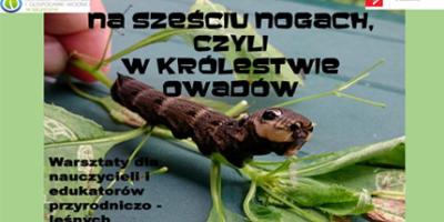 Warsztaty dla nauczycieli i edukatorów przyrodniczo-leśnych