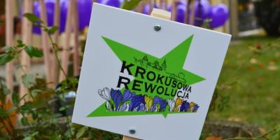 Krokusowa rewolucja