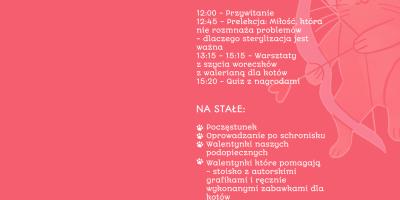 Mruczki i ogonki do pokochania