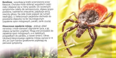 Zbadaj kleszcza - miej pewność!