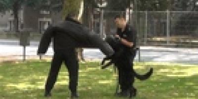 Święto Policji - RELACJA