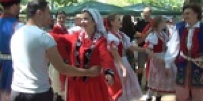 Spotkanie Organizacji Pozarządowych Pod Platanami